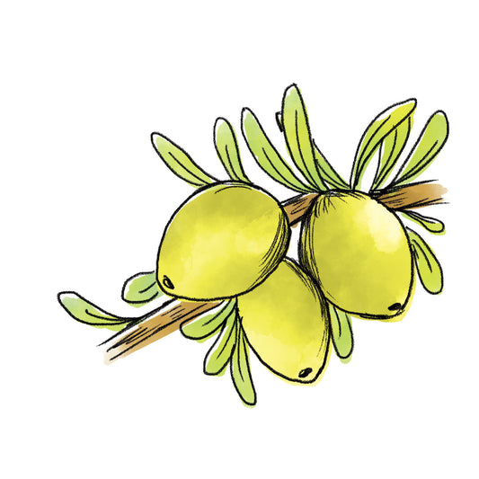 アルガニアスピノサカルス培養エキス