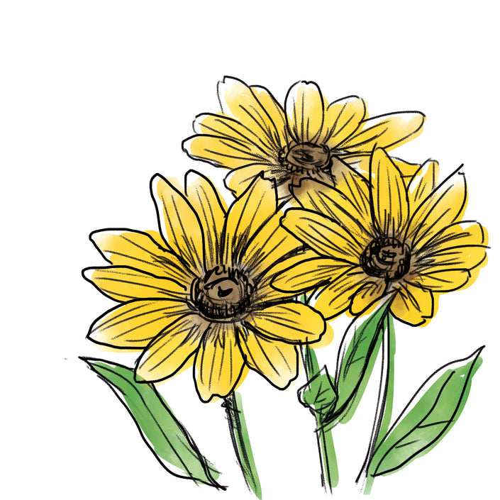 アルニカ花エキス