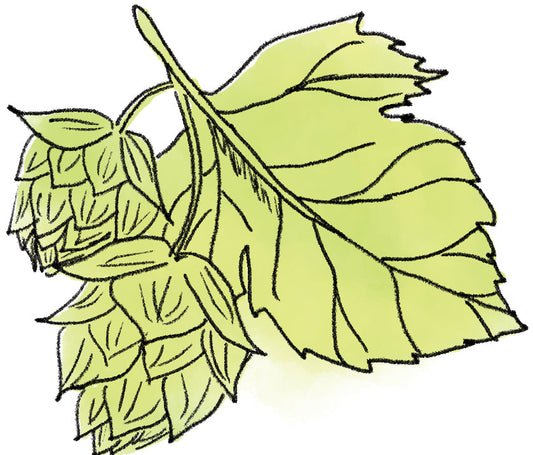 ホップ花エキス