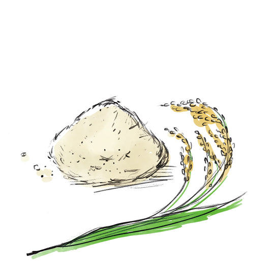 コメヌカスフィンゴ糖脂質