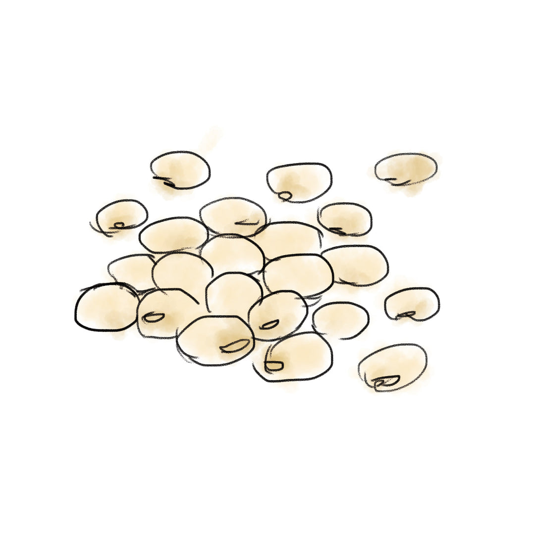 ナットウガム（ダイズ発酵エキス）