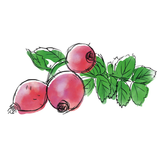 ノイバラ果実エキス