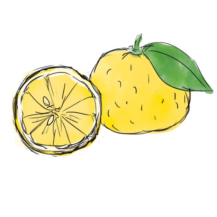 ユズ果実エキス