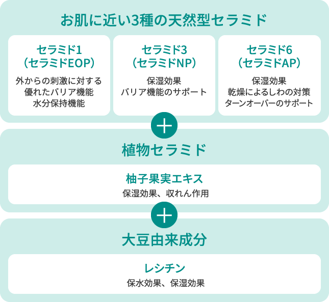 うるおい乳液　3本セット